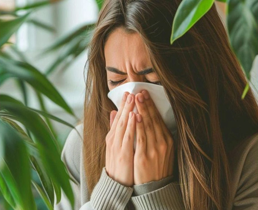 Allergies and Sensitivites..